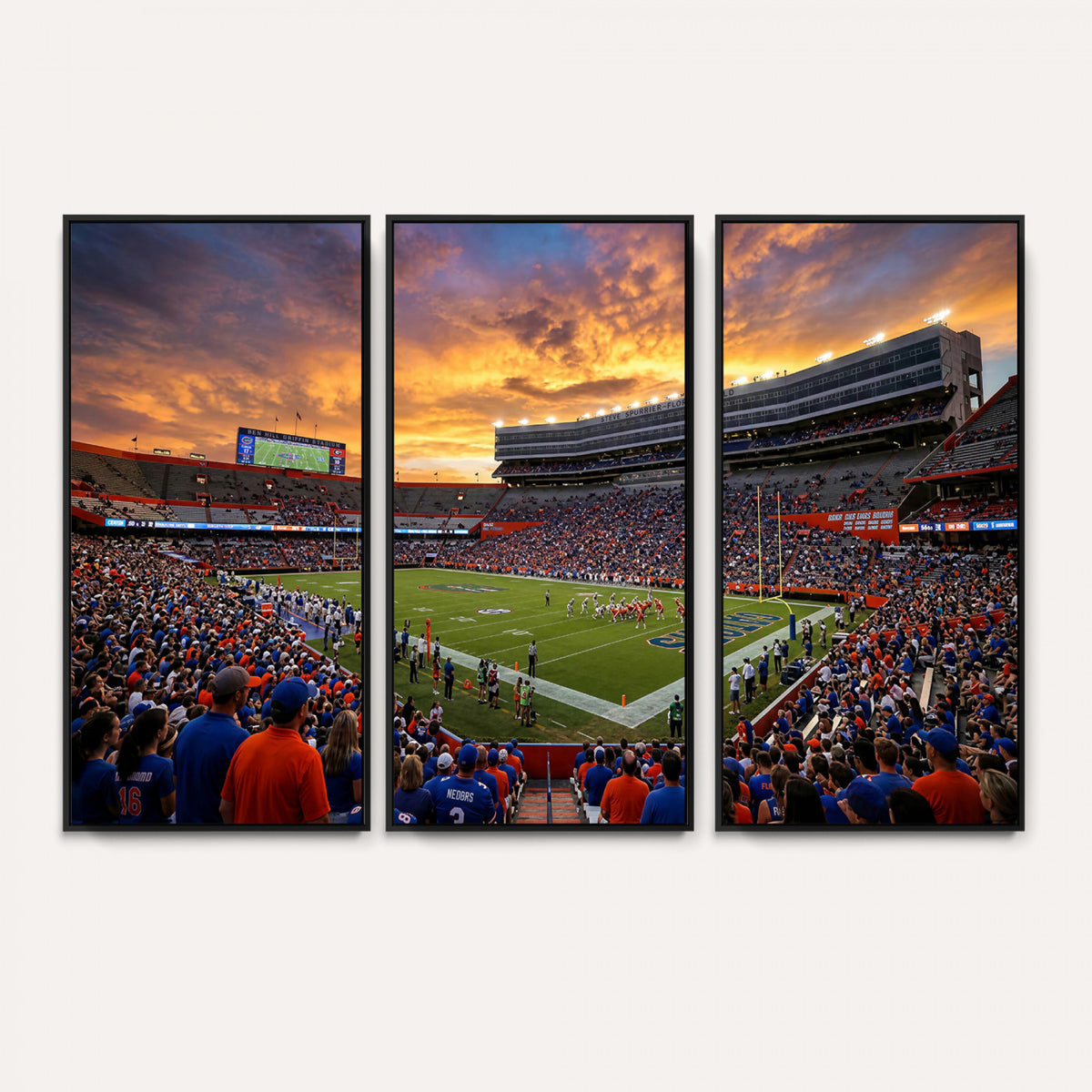 23829865-MGV-CV-36X24 - Stadium Wall Art Canvas Print