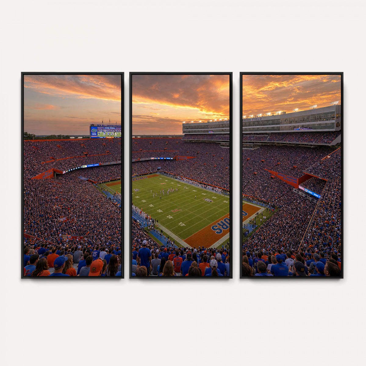 48009171-MGV-CV-36X24 - Stadium Wall Art Canvas Print