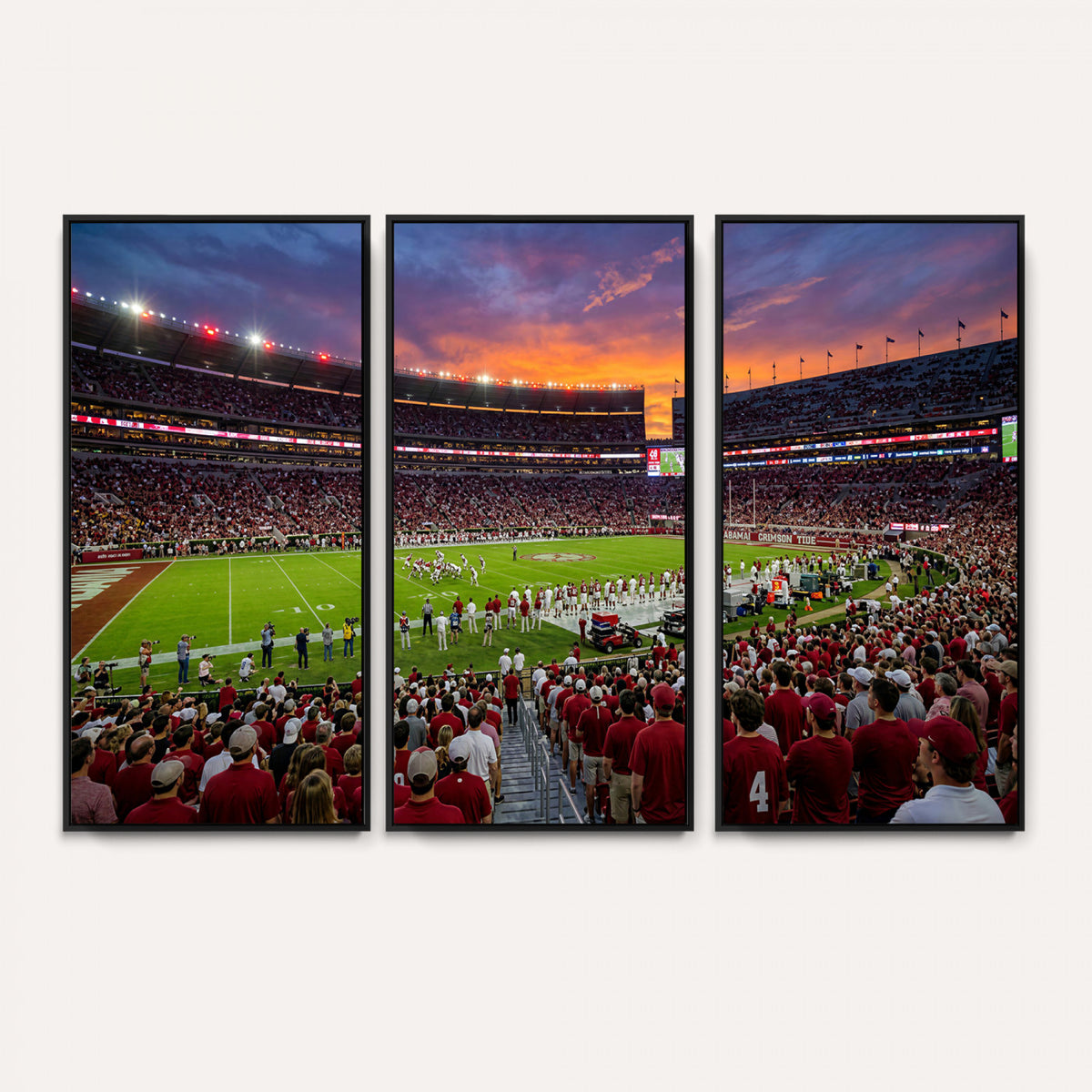 47822048-MGV-CV-36X24 - Stadium Wall Art Canvas Print