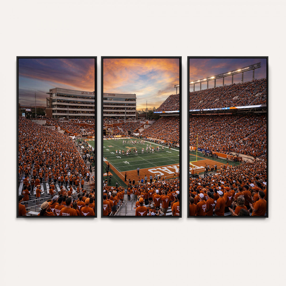 23560699-MGV-CV-36X24 - Stadium Wall Art Canvas Print