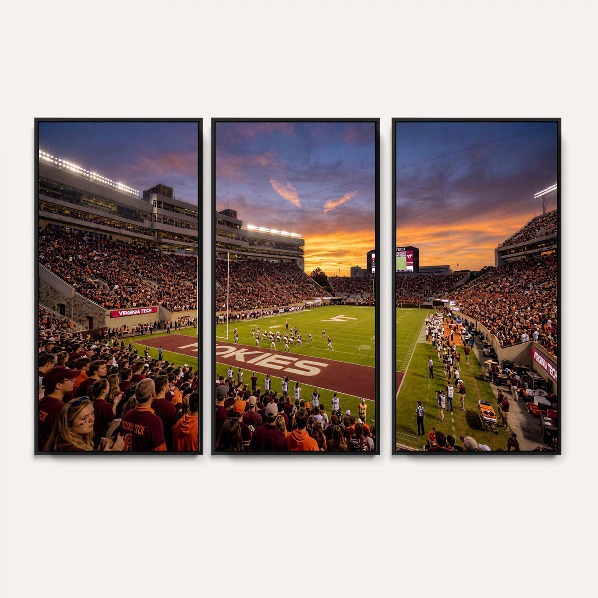 87141841-MGV-CV-36X24 - Stadium Wall Art Canvas Print