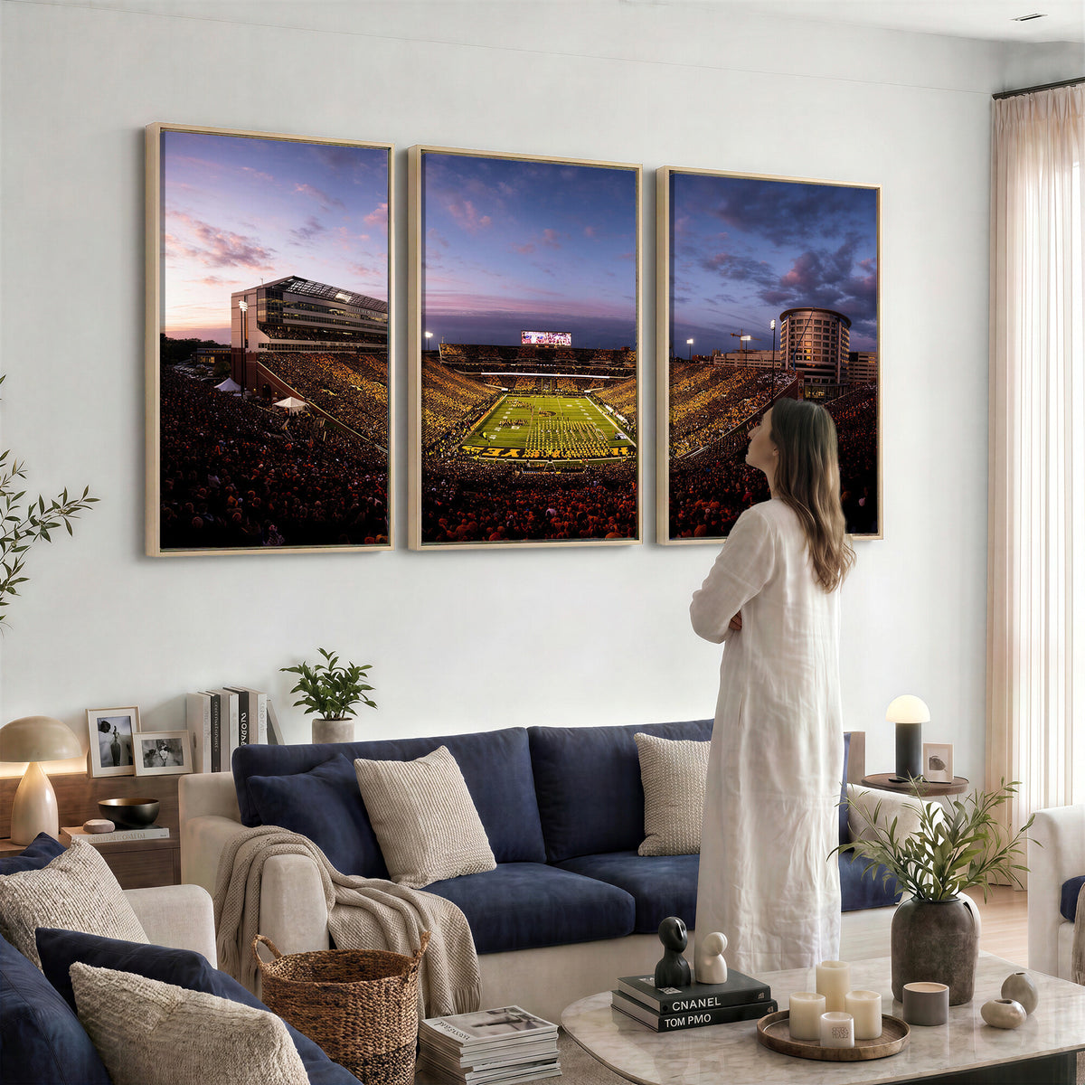 49683861-MGV-CV-36X24 - Stadium Wall Art Canvas Print