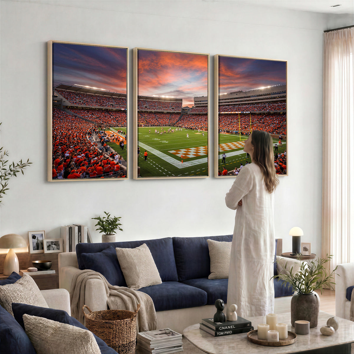 67648335-MGV-CV-36X24 - Stadium Wall Art Canvas Print