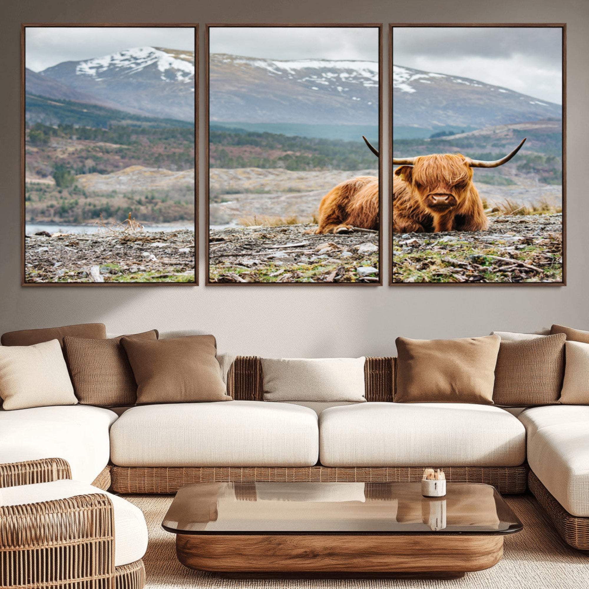 80252-MGV-CV-36X24-Highland Cow Horn Farm Wall Art Canvas Print