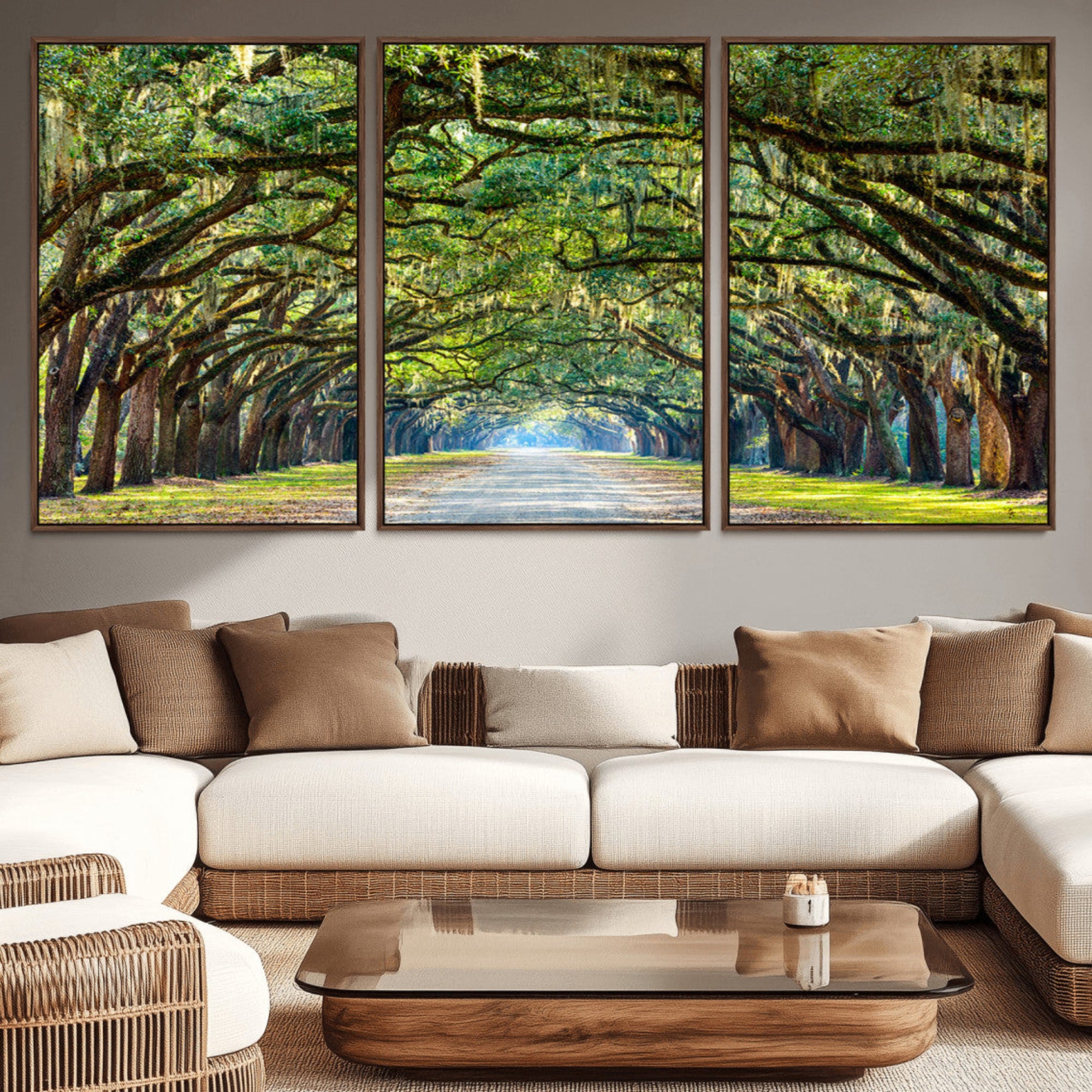 45881-MGV-CV-36X24-Wormsloe State Plantation Driveway Wall Art Canvas Print