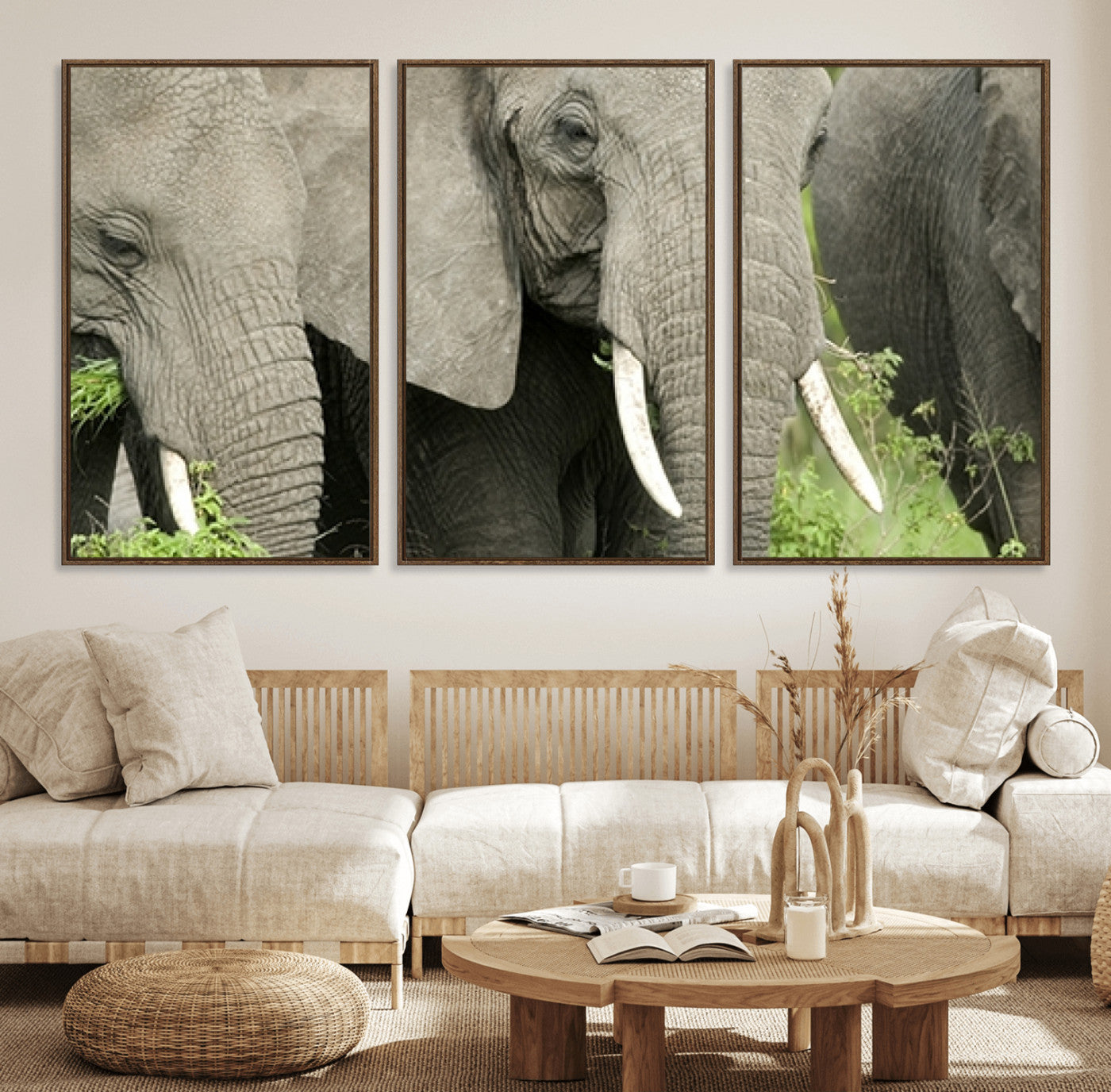 39051-MGV-FC-60X30-3P_Walnut-Wild Elephant Wall Art Canvas Print