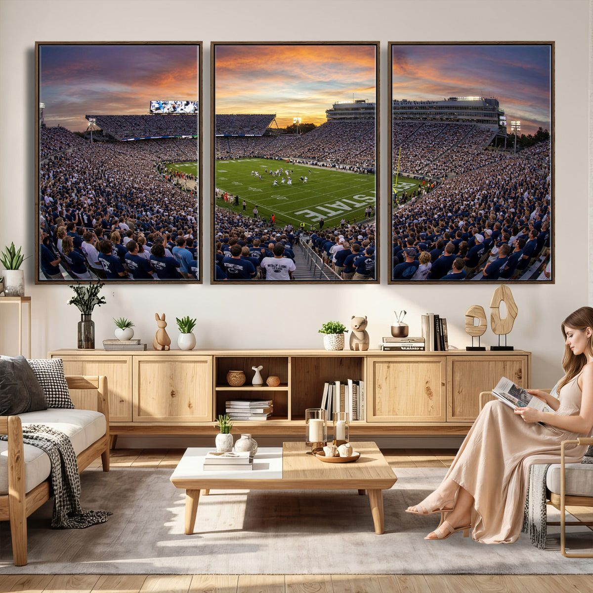 29008668-MGV-CV-36X24 - Stadium Wall Art Canvas Print