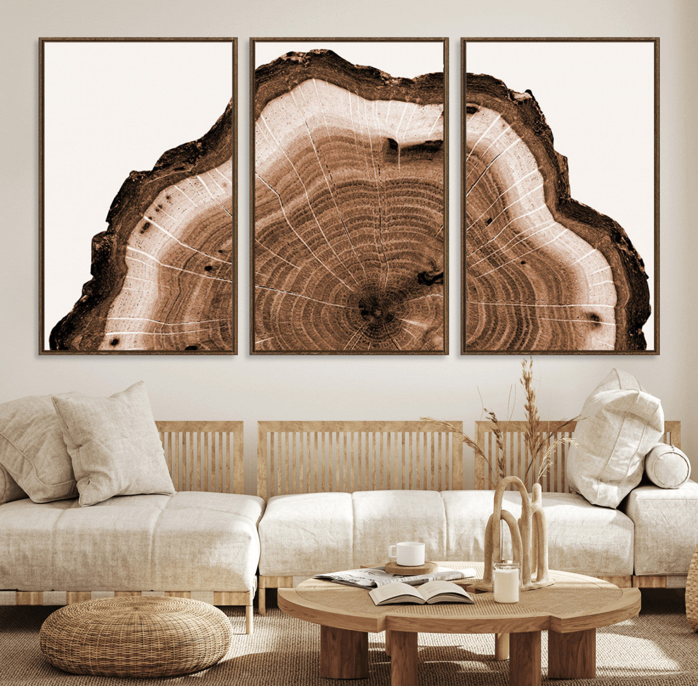 45195-MGV-FC-60X30-3P_Walnut-Rustic Wood Rings Wall Art | Nature-Inspired Tree Ring Canvas Print | Ready to Hang and Framed for