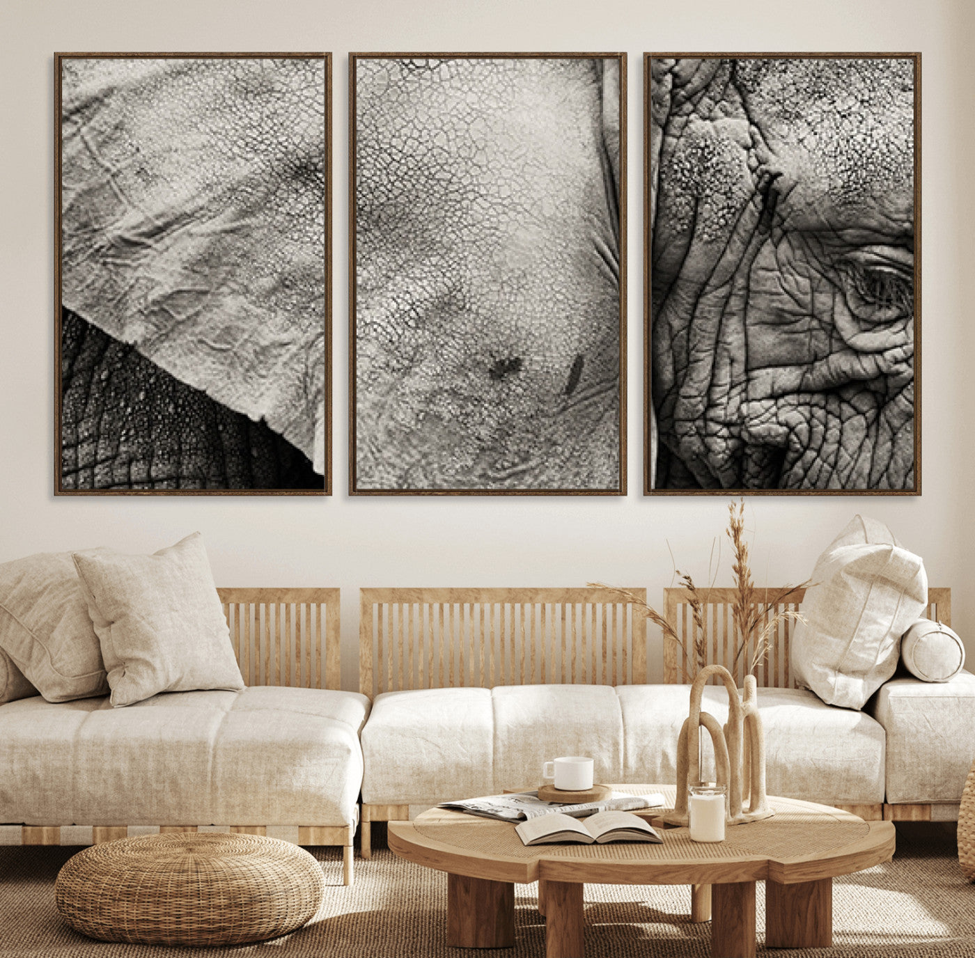 53588-MGV-FC-60X30-3P_Walnut-Elephant Wall Art Canvas Print