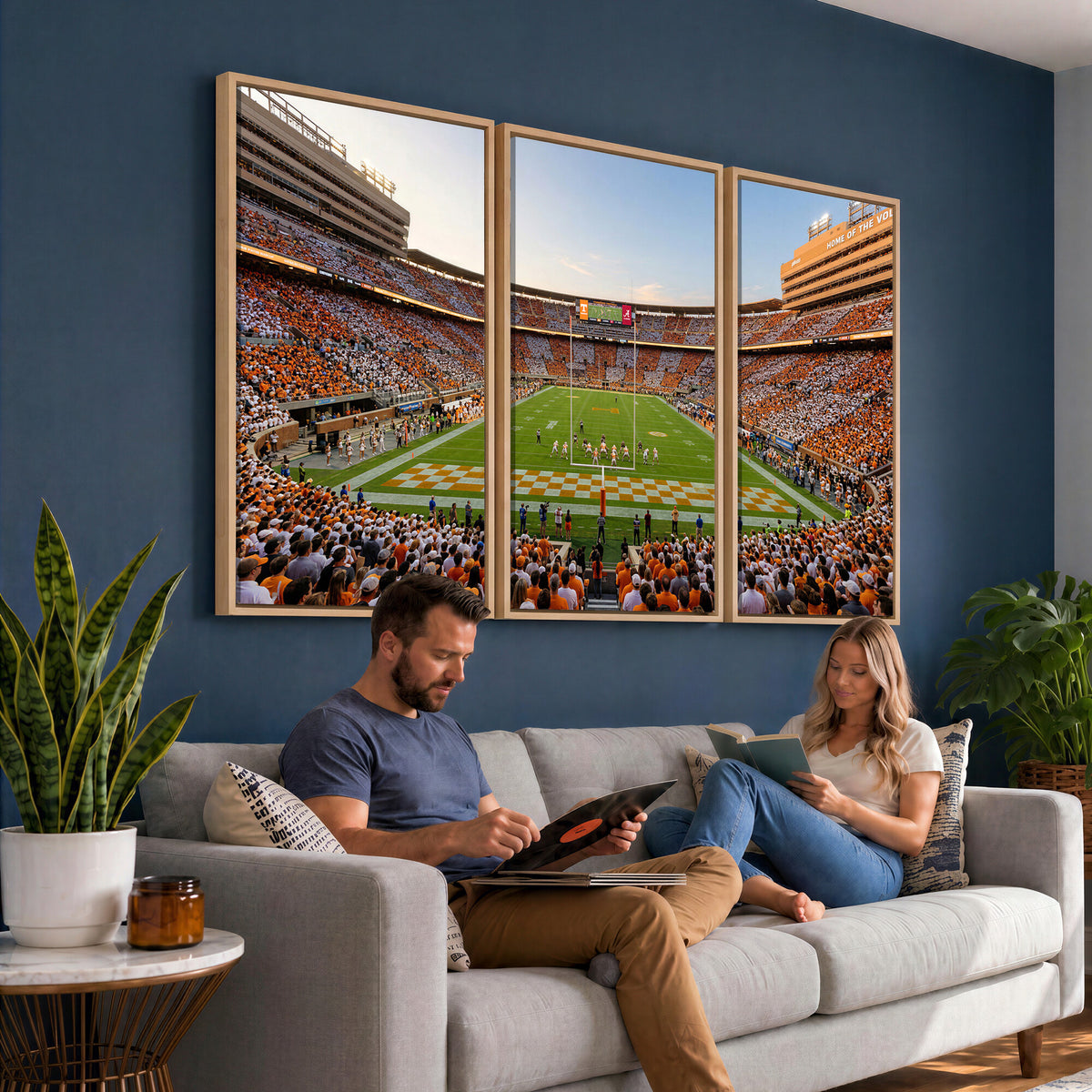74509135-MGV-CV-36X24 - Stadium Wall Art Canvas Print