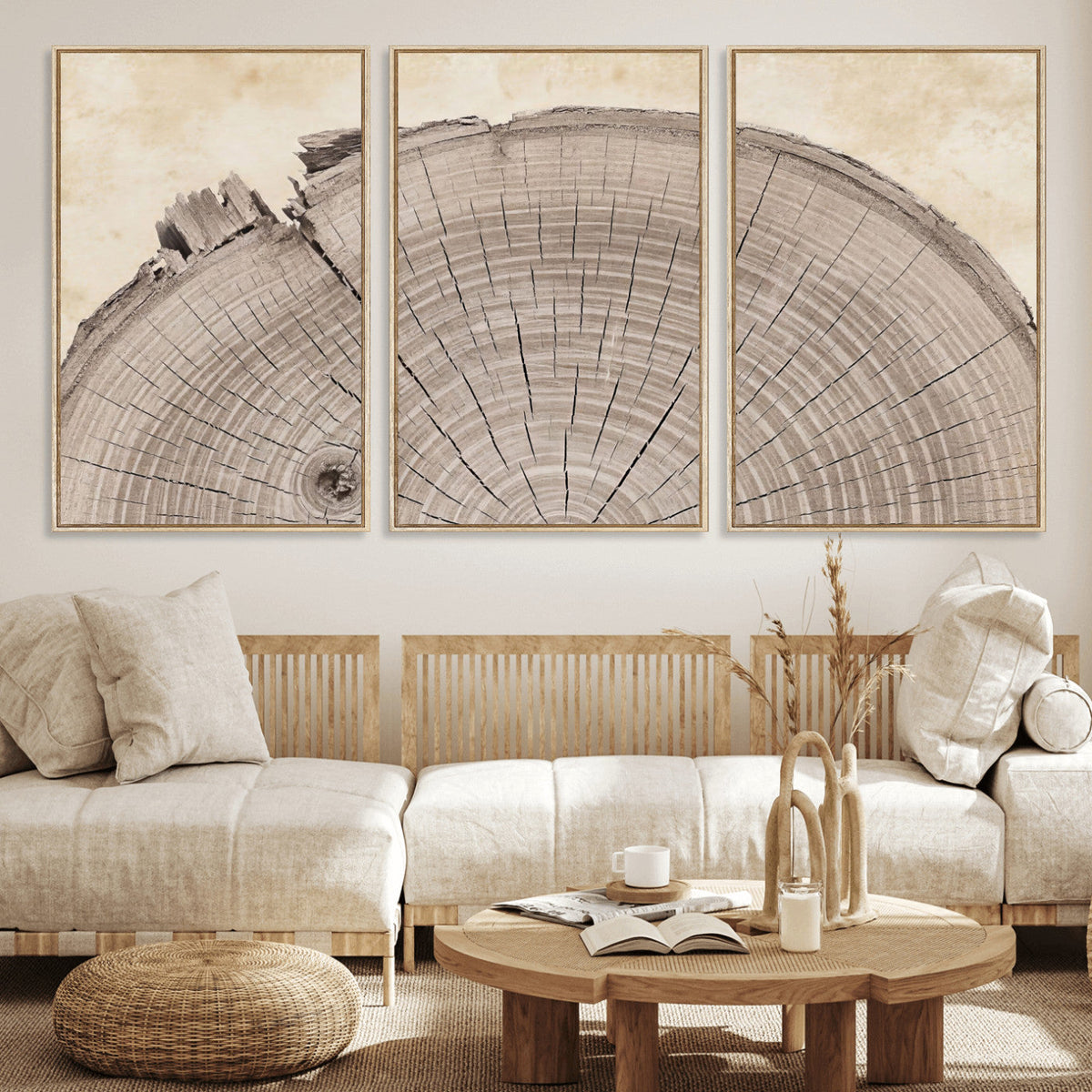 64174838-MGV-CV-60X30-3P - Tree Ring Canvas Wall Art in Neutral Earth Tones, Framed Wood Slice Print for Rustic and Japandi Interiors
