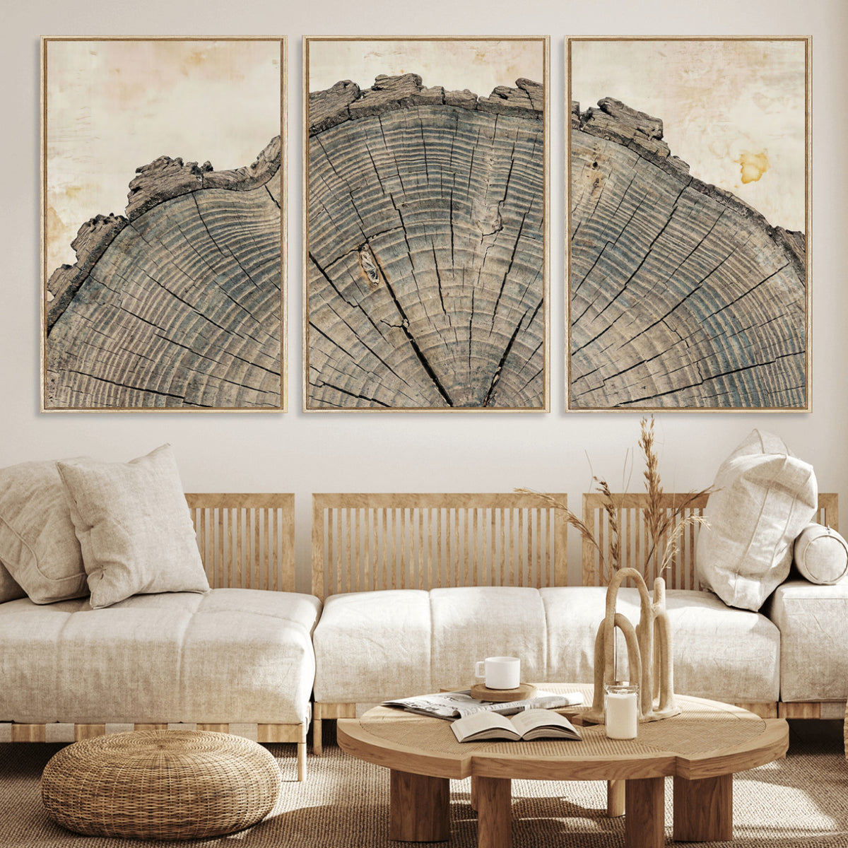 34201080-MGV-CV-60X30-3P - Tree Ring Canvas Wall Art in Neutral Earth Tones, Framed Wood Slice Print for Rustic and Japandi Interiors