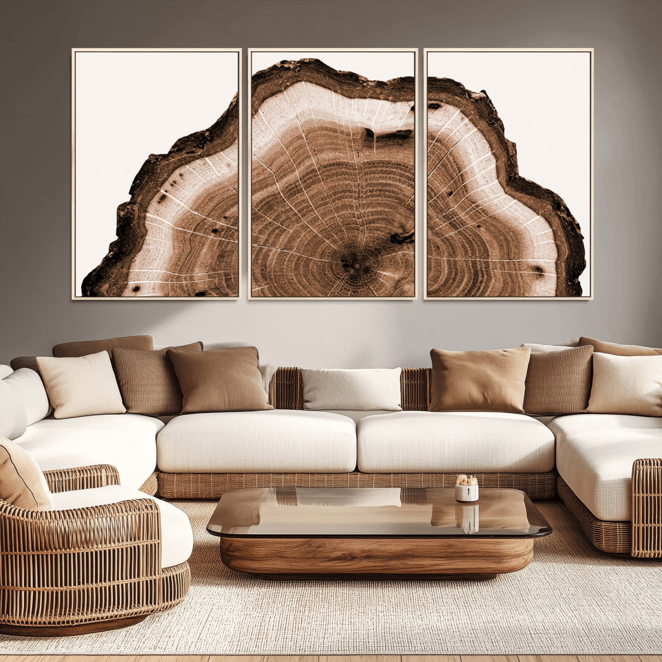 -Rustic Wood Rings Wall Art | Nature-Inspired Tree Ring Canvas Print | Ready to Hang and Framed for