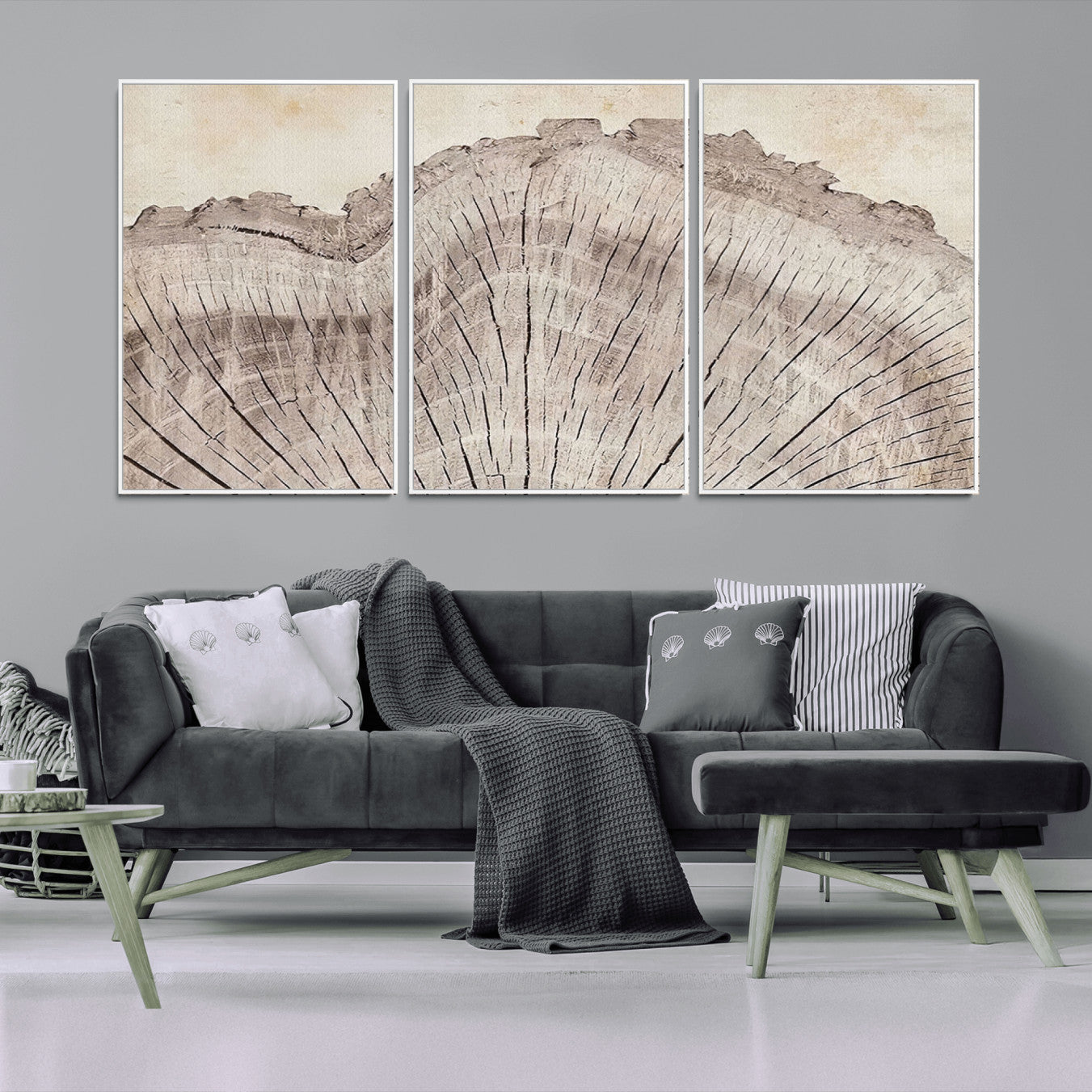 -Tree Ring Wall Art Triptych, Rustic Wood Ring Canvas Print, Minimalist Wall Decor for Modern Homes