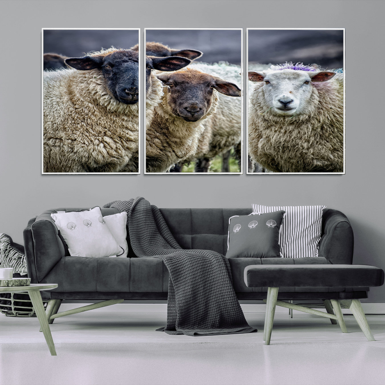-Charming Sheep Portrait Wall Art – Trio of Woolly Companions Canvas Print, Framed, Ready to Hang