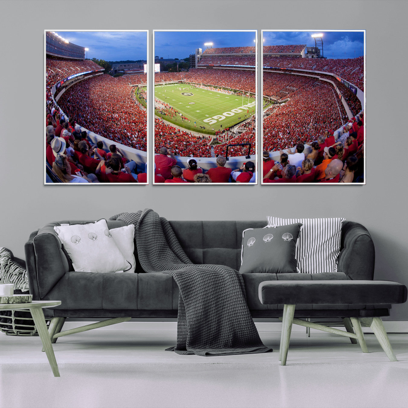 10244378-MGV-FC-60X30-3P_White-Dooley Stadium Wall Art Print, Sports Arena Canvas Wall Art, Dooley Field at Sanford Stadium Canvas Print, Modern Athletic Field Art Printing