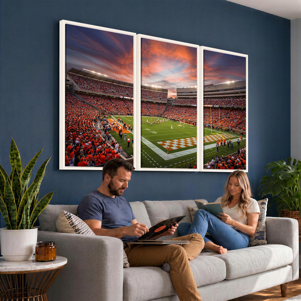 67648335-MGV-CV-36X24 - Stadium Wall Art Canvas Print