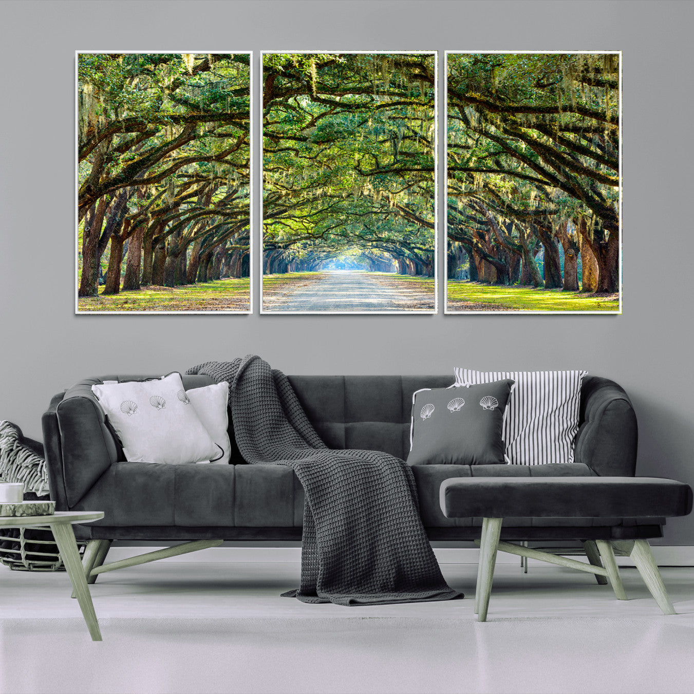 -Wormsloe State Plantation Driveway Wall Art Canvas Print