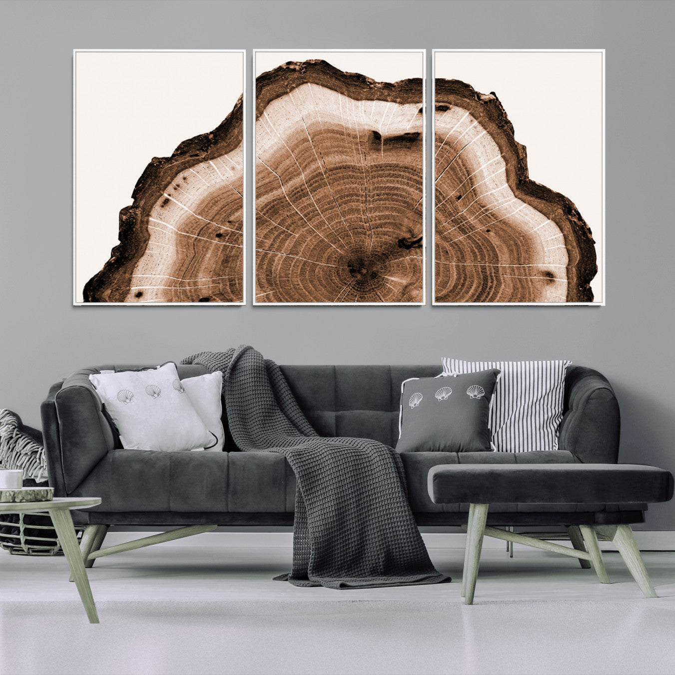 -Rustic Wood Rings Wall Art | Nature-Inspired Tree Ring Canvas Print | Ready to Hang and Framed for