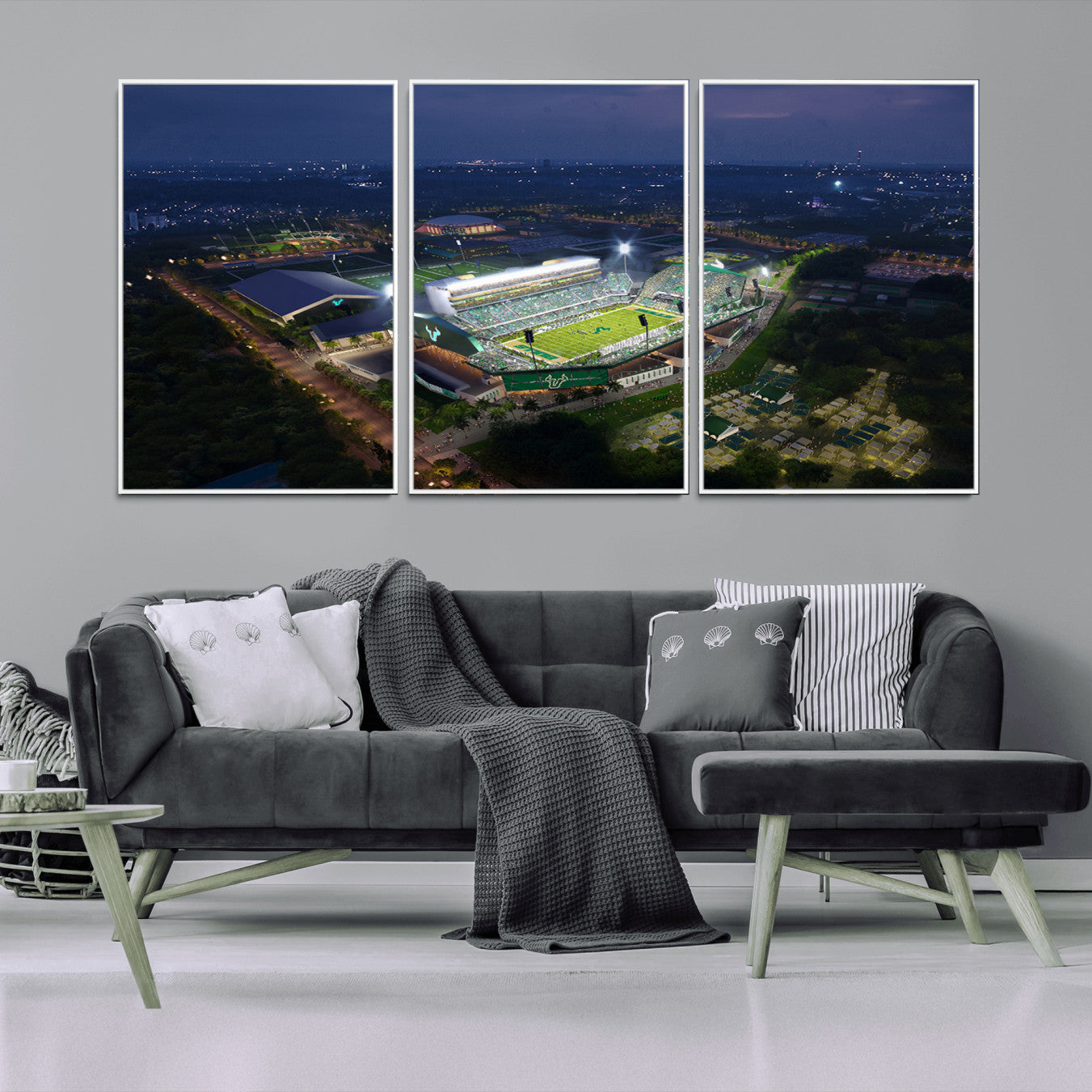 -The University of South Florida Bulls Football Team Print - Tampa USF Football Stadium Wall Art