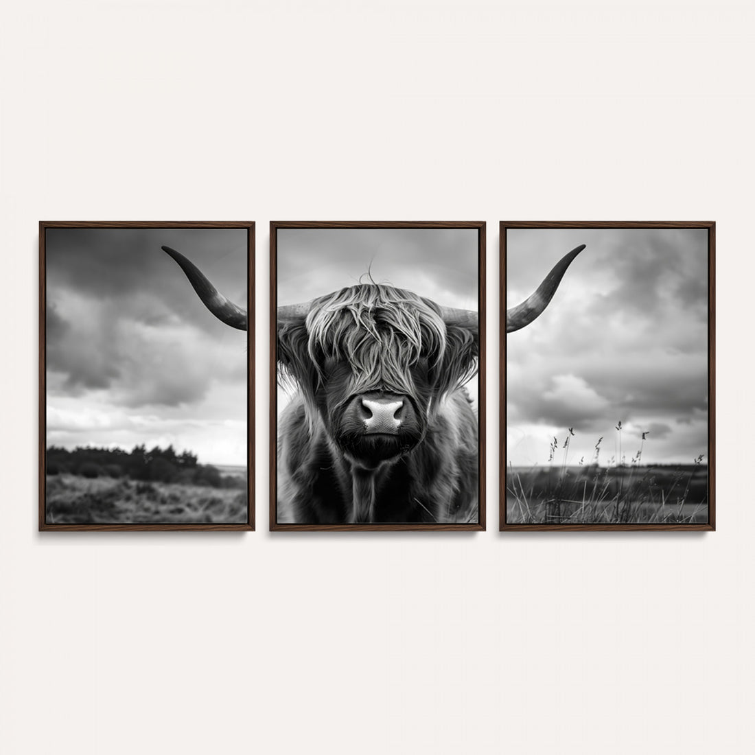 Scottish Cow Wall Art Canvas Print, Longhorn Wall Art