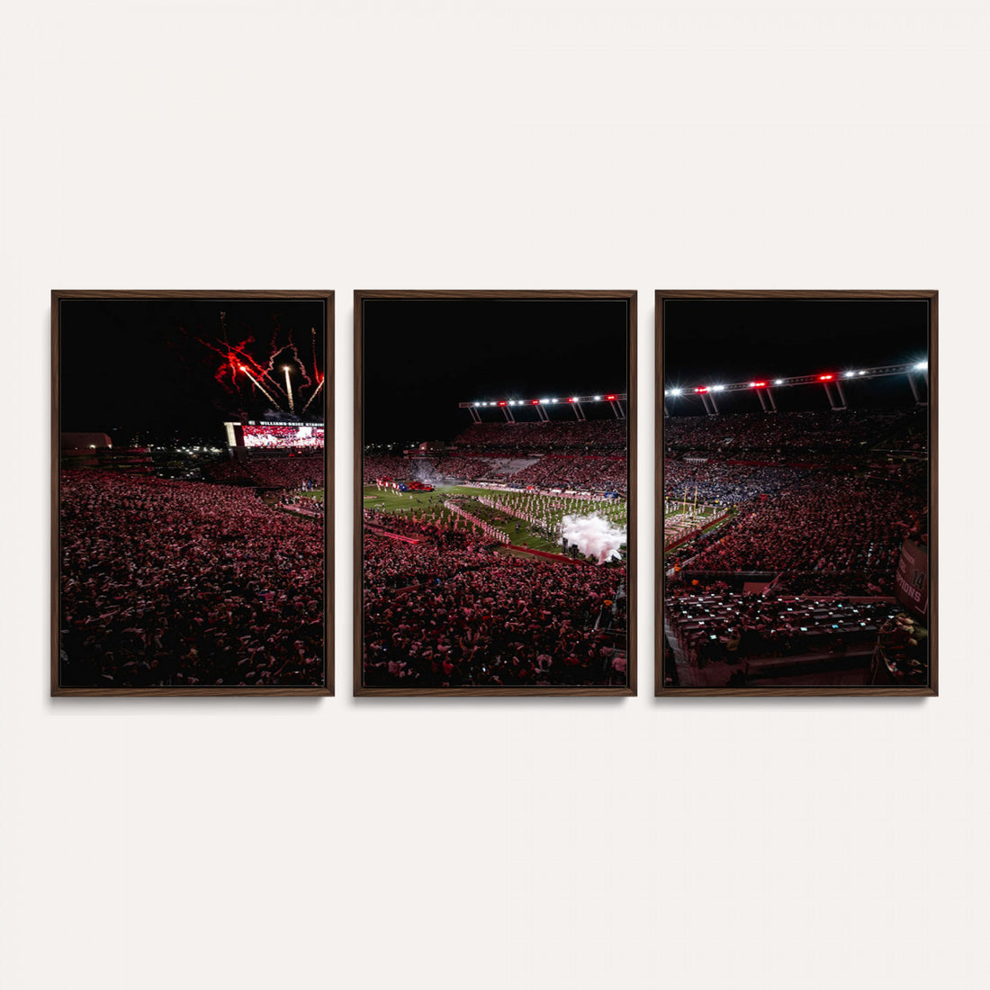 William Brice Stadium Wall Art Print, Baseball Game Room