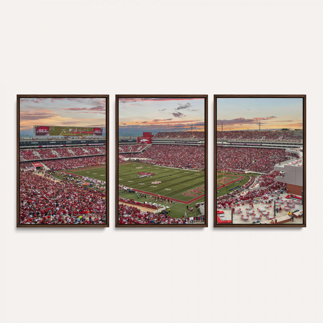 Donald W. Reynolds Razorback Stadium Wall Art Canvas Print