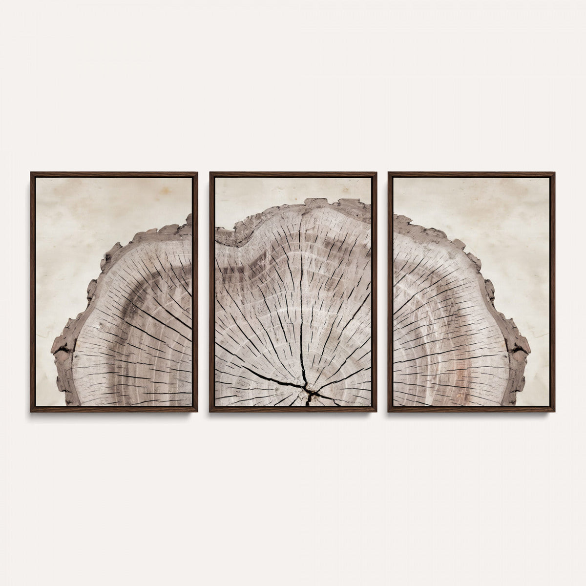 87833480-MGV-CV-60X30-3P - Tree Ring Canvas Wall Art in Neutral Earth Tones, Framed Wood Slice Print for Rustic and Japandi Interiors