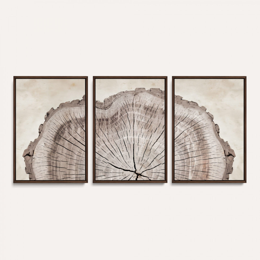 Tree Ring Canvas Wall Art in Neutral Earth Tones, Bedroom Wall Decor