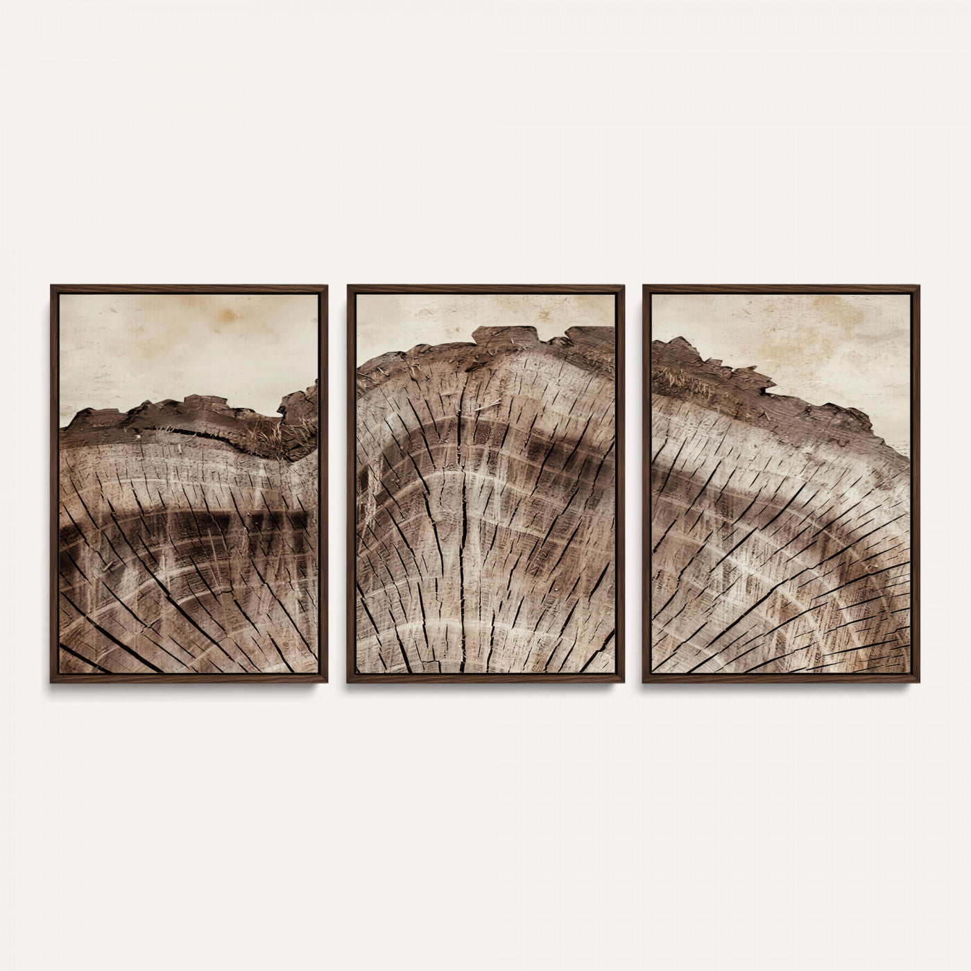 91280382-MGV-CV-60X30-3P - Tree Ring Canvas Wall Art in Neutral Earth Tones, Framed Wood Slice Print for Rustic and Japandi Interiors