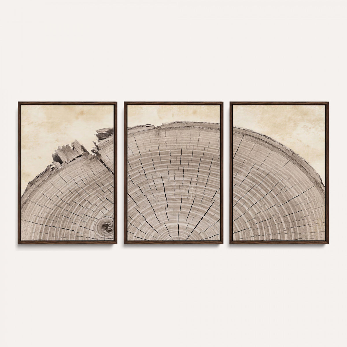 64174838-MGV-CV-60X30-3P - Tree Ring Canvas Wall Art in Neutral Earth Tones, Framed Wood Slice Print for Rustic and Japandi Interiors