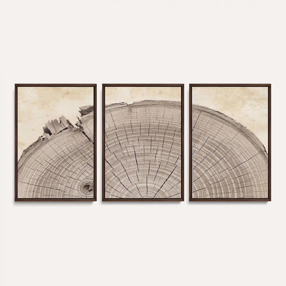 64174838-MGV-CV-60X30-3P - Tree Ring Canvas Wall Art in Neutral Earth Tones, Framed Wood Slice Print for Rustic and Japandi Interiors