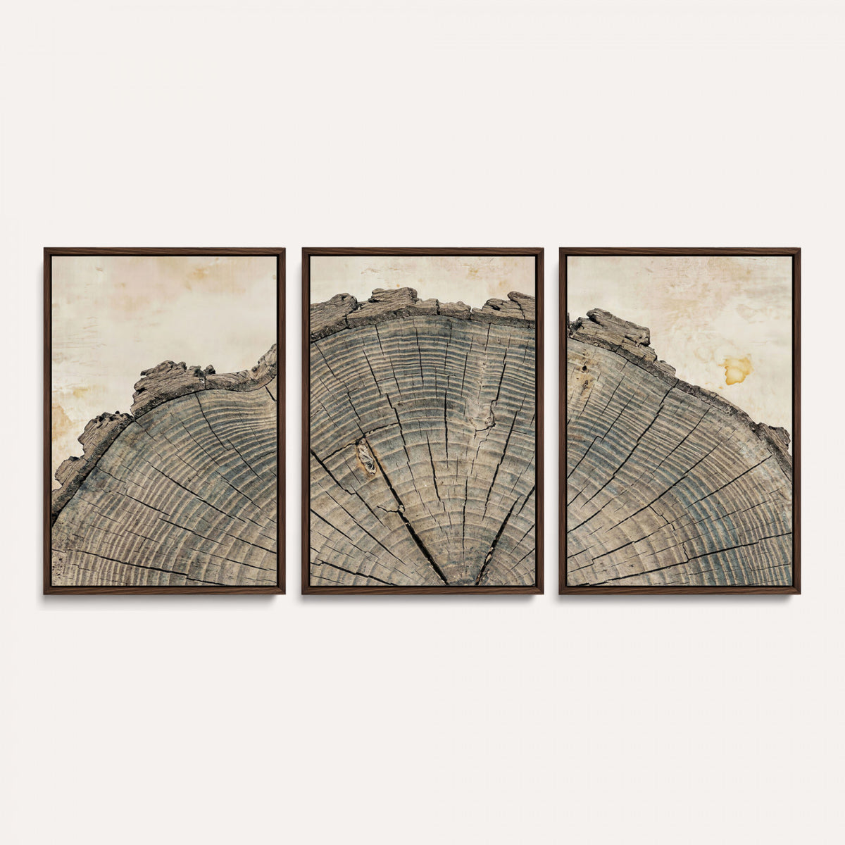 34201080-MGV-CV-60X30-3P - Tree Ring Canvas Wall Art in Neutral Earth Tones, Framed Wood Slice Print for Rustic and Japandi Interiors