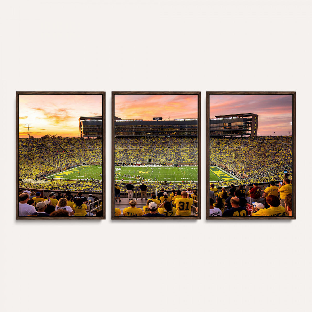 27265223-MGV-CV-36X24 - Stadium Wall Art Canvas Print