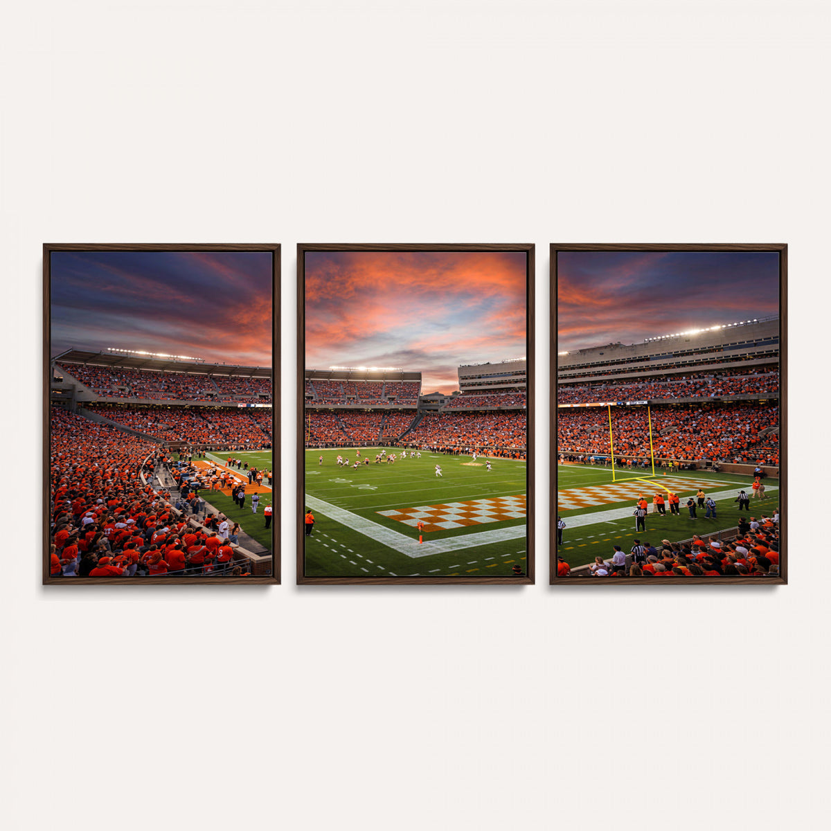 67648335-MGV-CV-36X24 - Stadium Wall Art Canvas Print