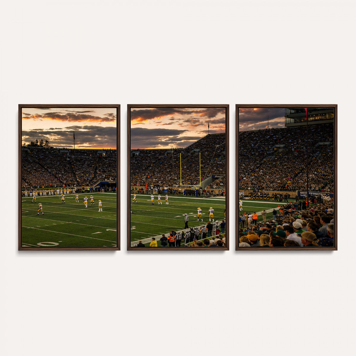 17703678-MGV-CV-36X24 - Stadium Wall Art Canvas Print
