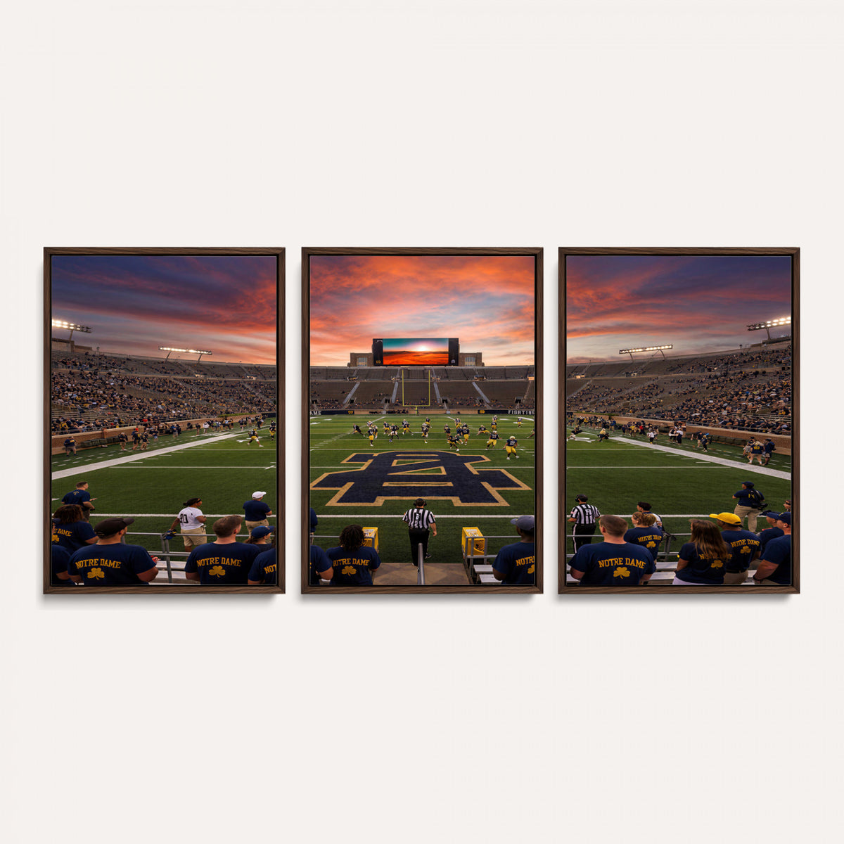 75411323-MGV-CV-36X24 - Stadium Wall Art Canvas Print
