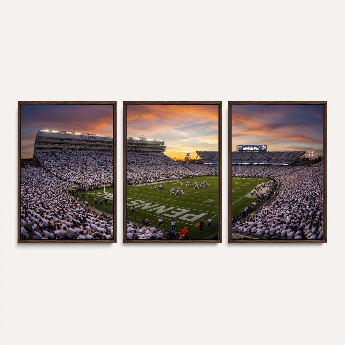 37485833-MGV-CV-36X24 - Stadium Wall Art Canvas Print