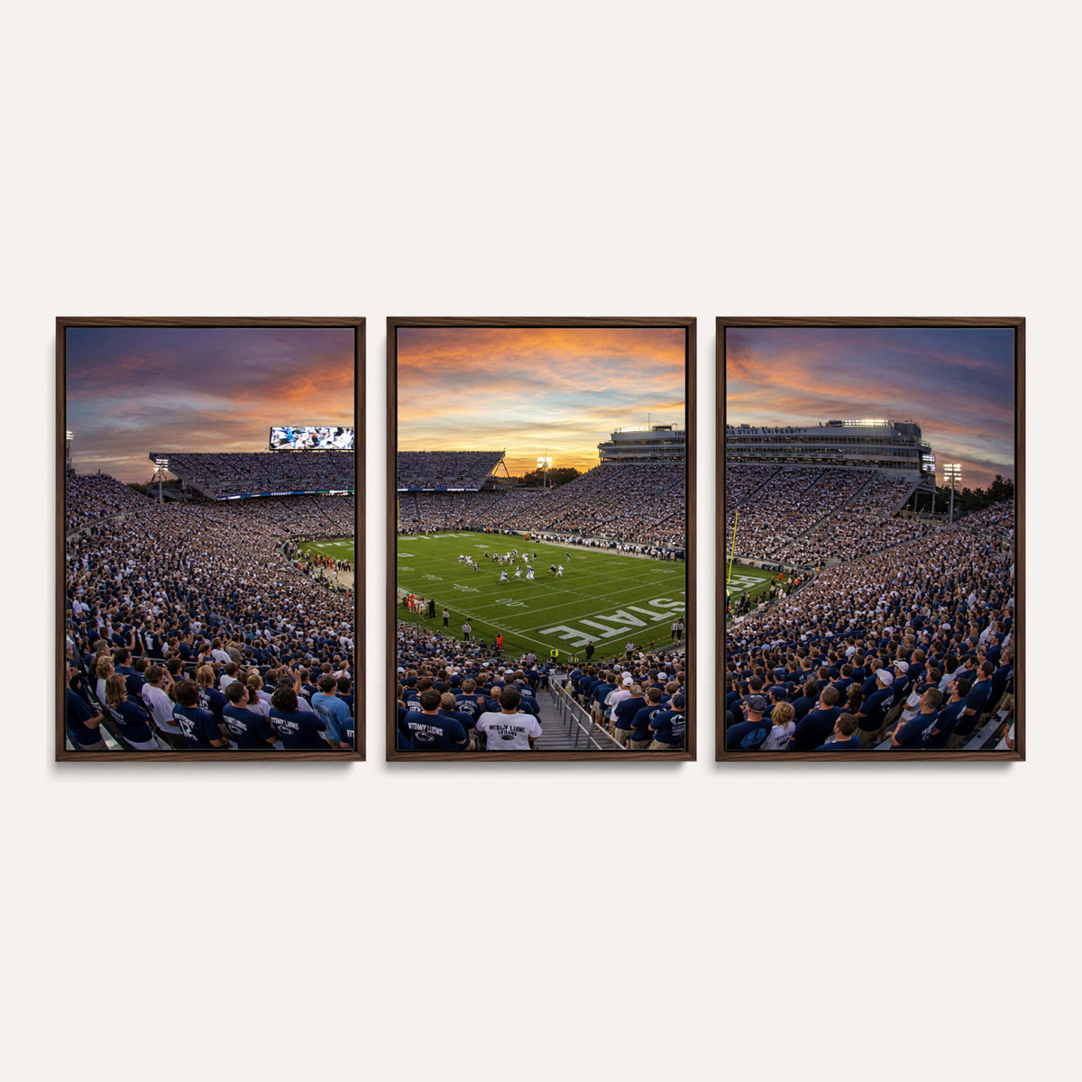 29008668-MGV-CV-36X24 - Stadium Wall Art Canvas Print