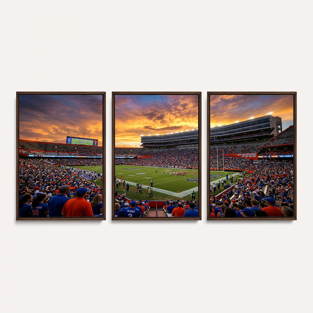 23829865-MGV-CV-36X24 - Stadium Wall Art Canvas Print