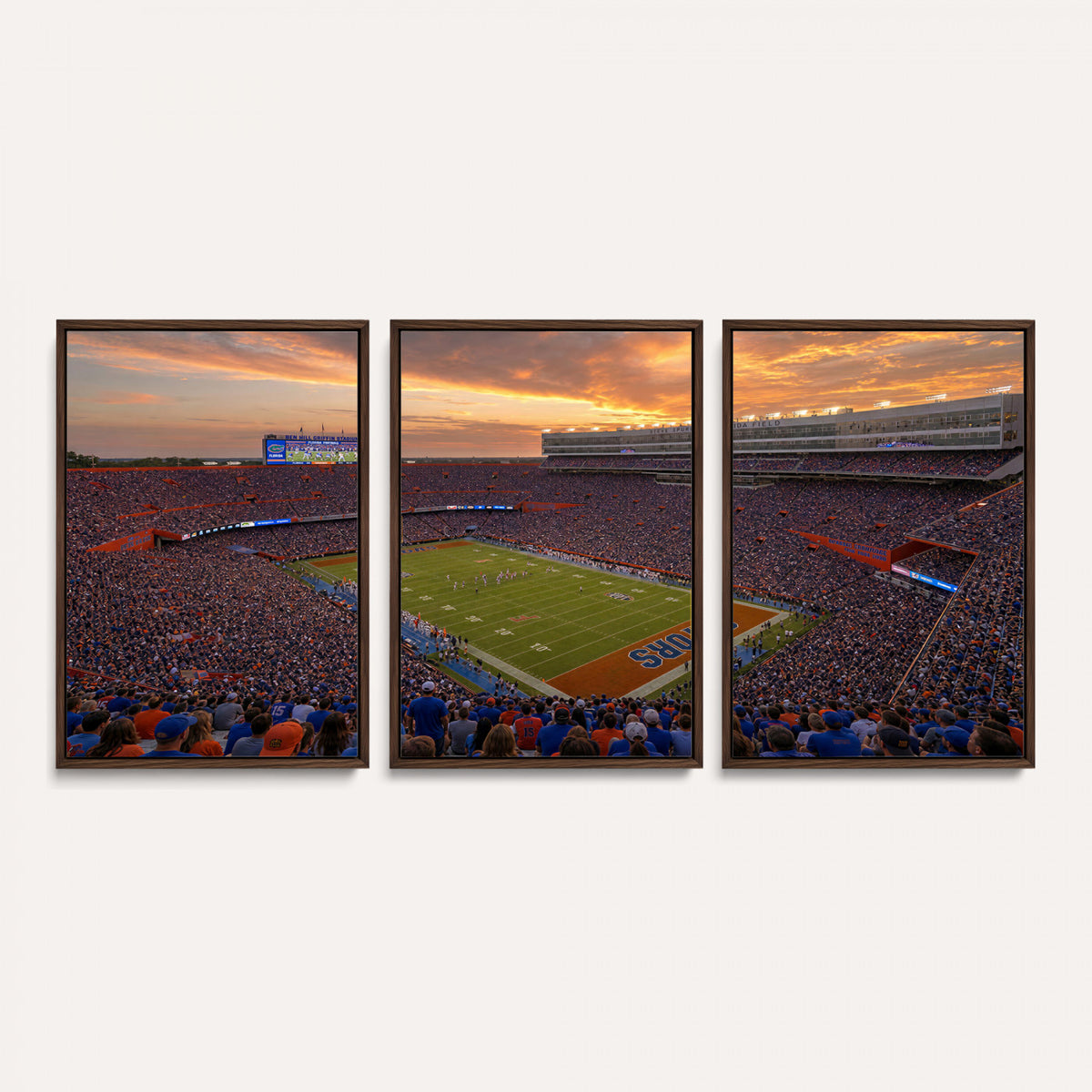48009171-MGV-CV-36X24 - Stadium Wall Art Canvas Print