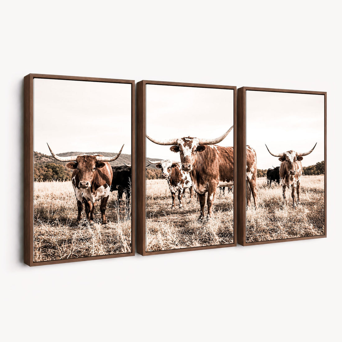 Texas Longhorn Cattle Canvas Wall Art, Western Ranch Home Decor
