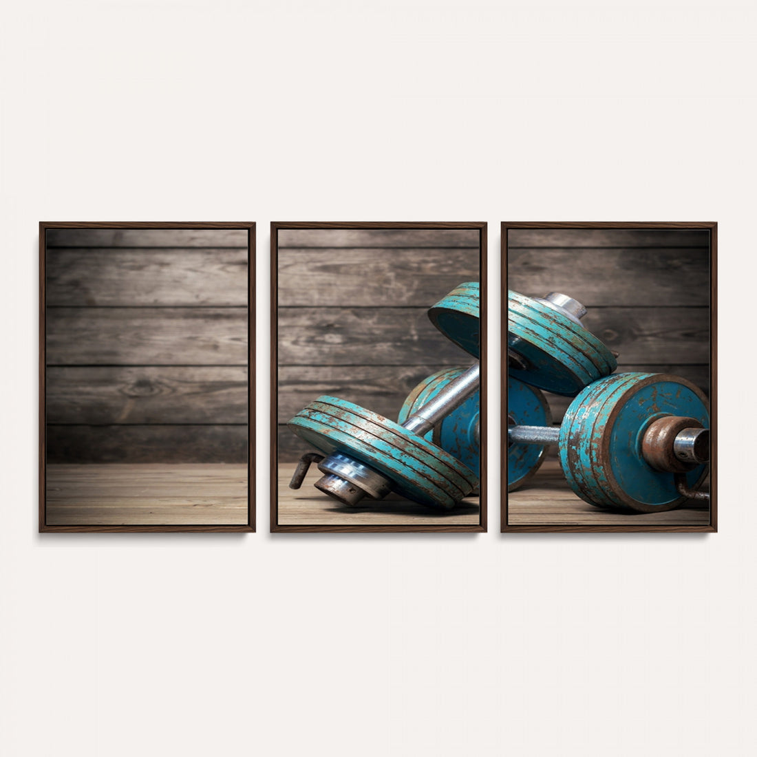 Dumbbell and Sport Wall Art Canvas Print