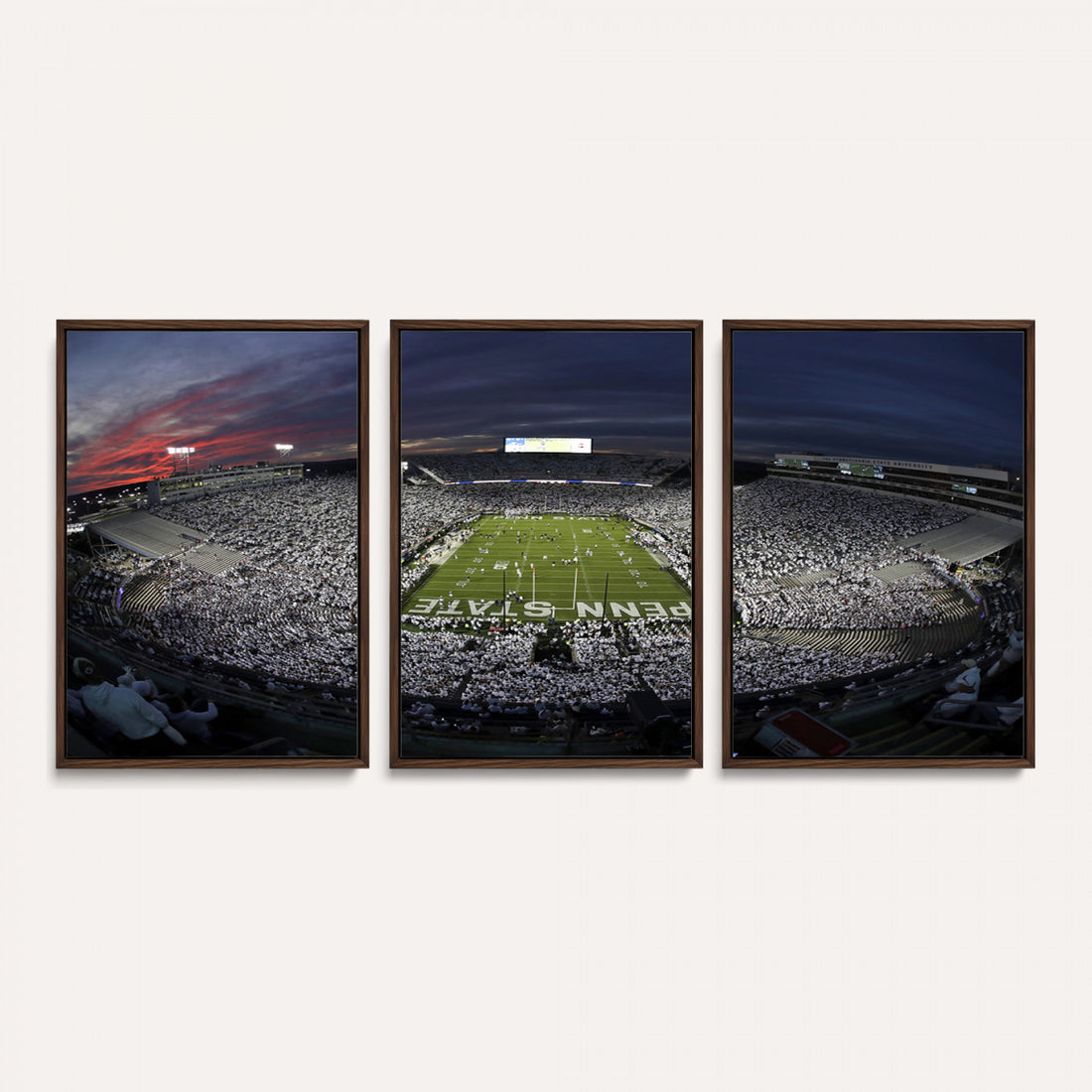 Penn State University Nittany Lions Football Team Print