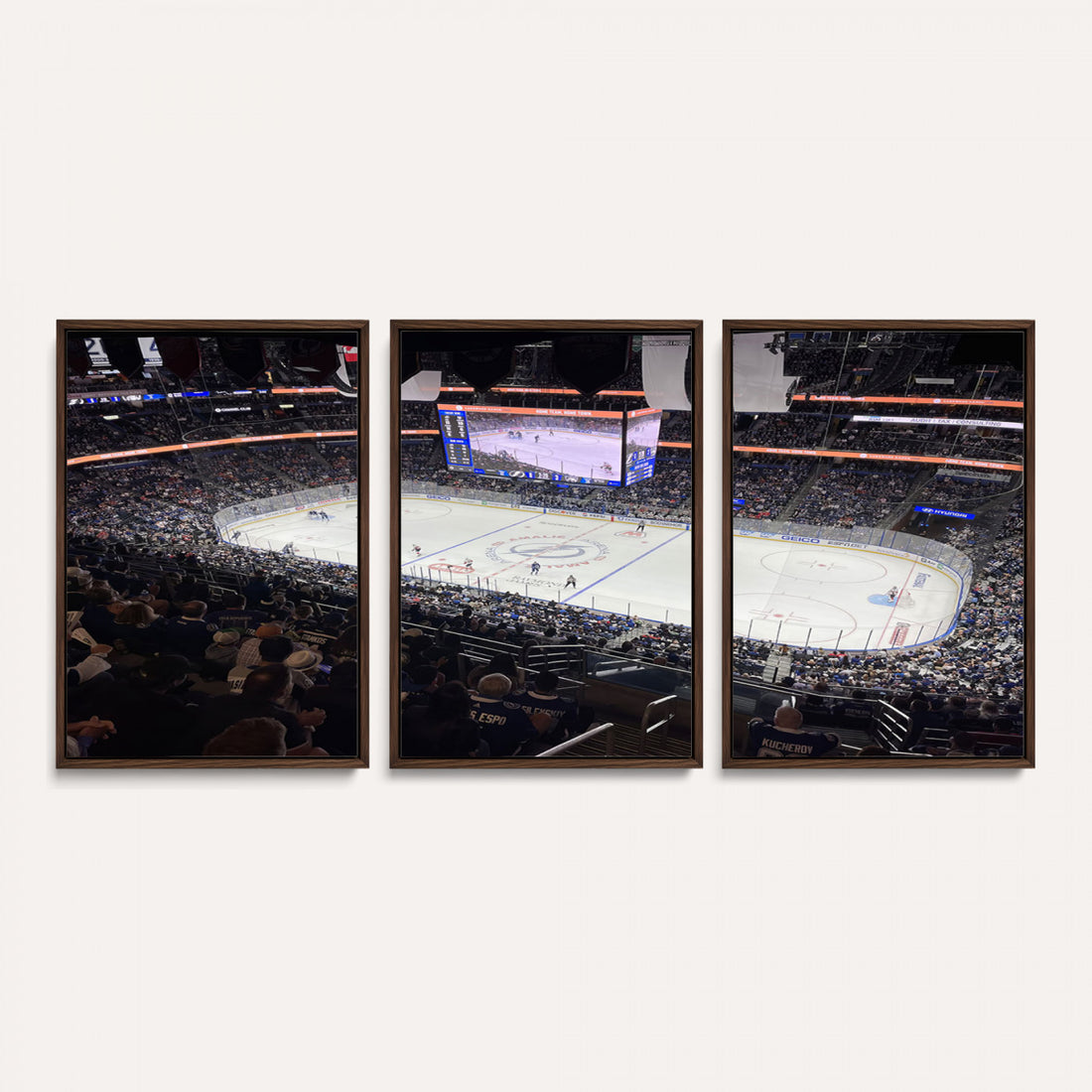 Amalie Arena Florida Wall Art Canvas Print, NHL Hockey, Framed and Ready to Hang