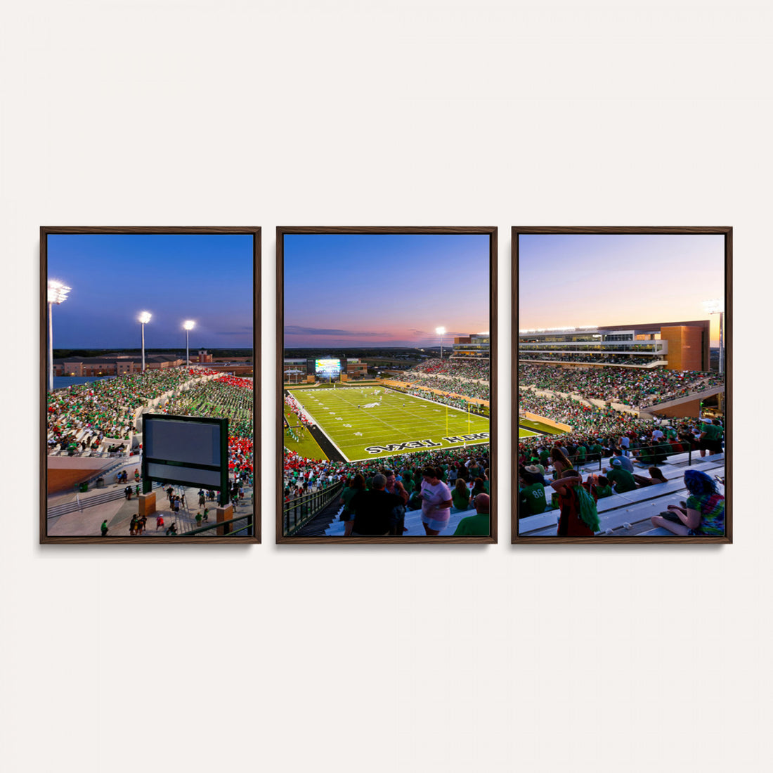 University of North Texas Mean Green Football Team Print