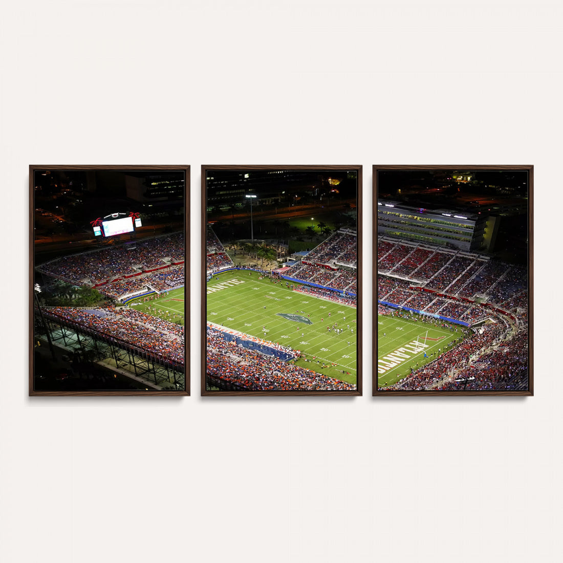Florida Atlantic University Owls Canvas Print, Football Team Print