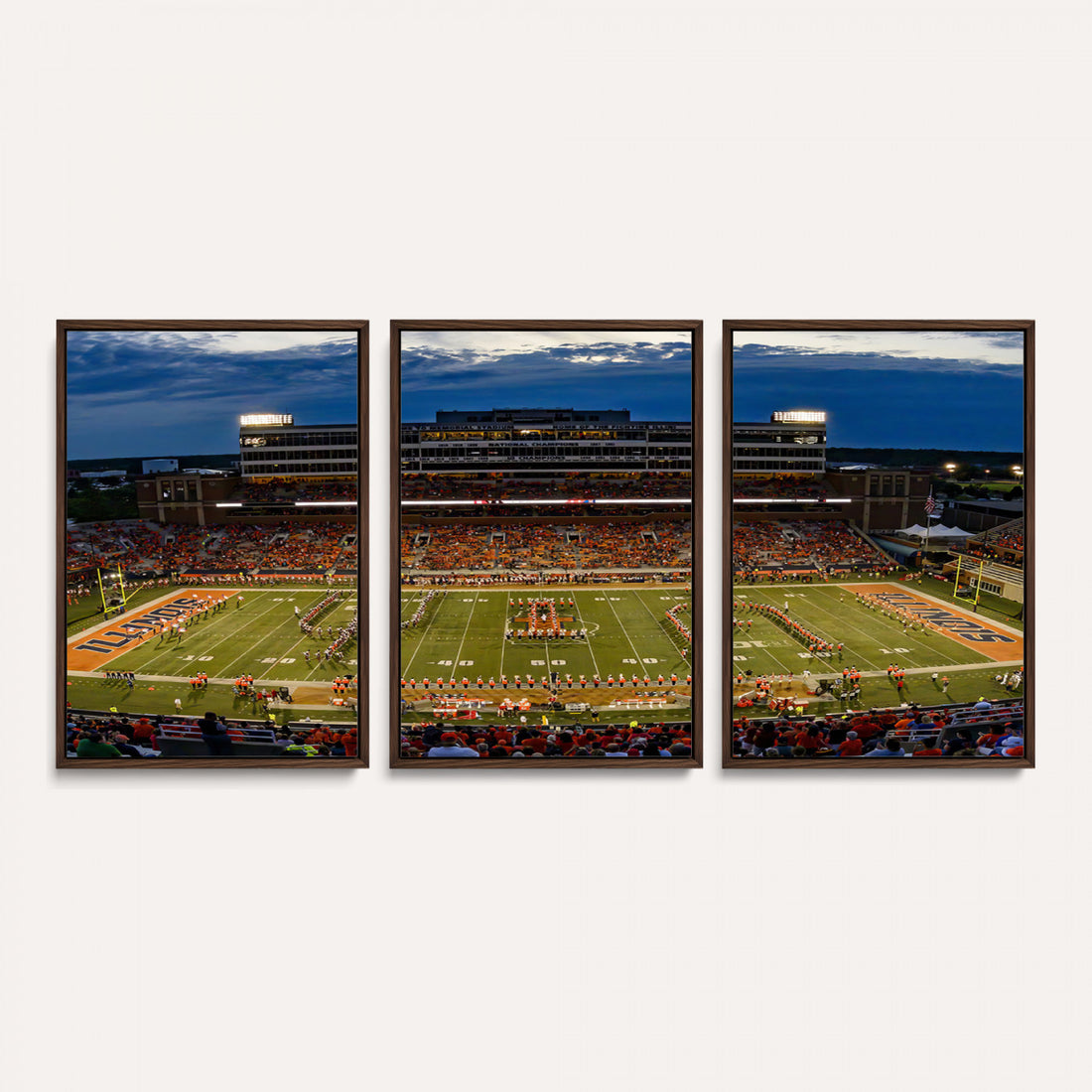University of Illinois Fighting Illini Football Team Print