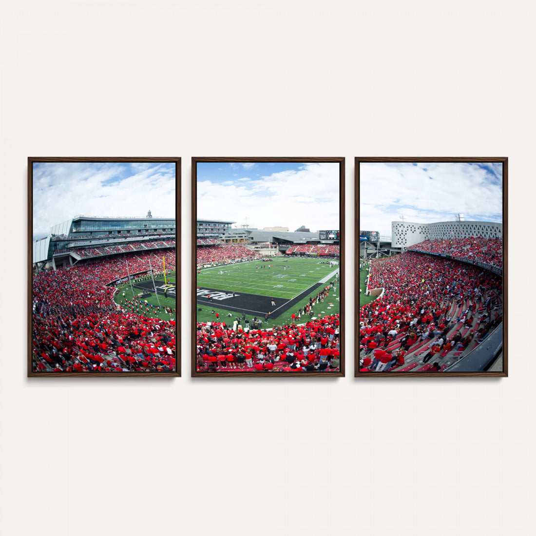 Cincinnati Bearcats Football Team Print, Nippert Stadium Wall Art