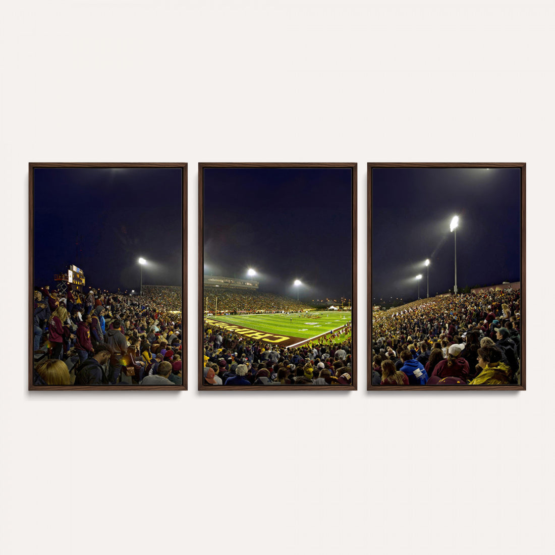 Central Michigan University Chippewas Canvas Wall Art